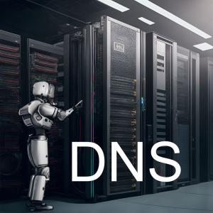 網頁設計好後網址需做DNS設定對應主機，為何要做這樣的設定?